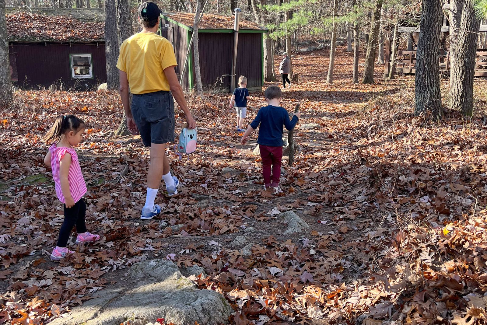 Walking in the Woods