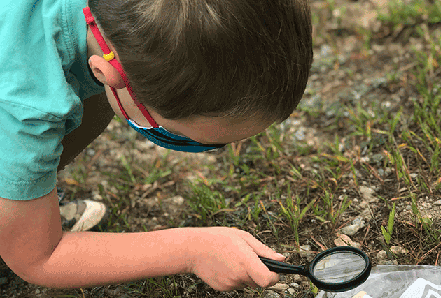 learning, science, wonderings